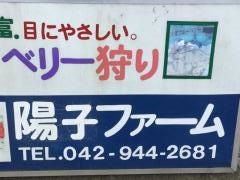 陽子ファーム