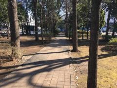 徳丸ケ原公園