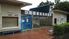 青峯プール