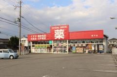 ゴダイドラッグ網干店