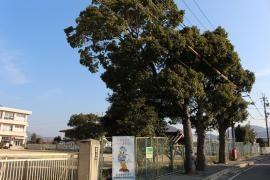 龍田小学校