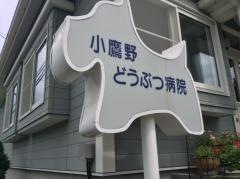 小鷹野どうぶつ病院