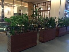 ハーブス　六本木ヒルズ店