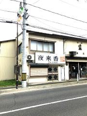 夜来香