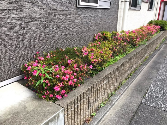 グループホーム芙蓉の園