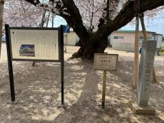 真鍋小学校