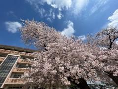 真鍋小学校