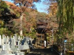 法性寺