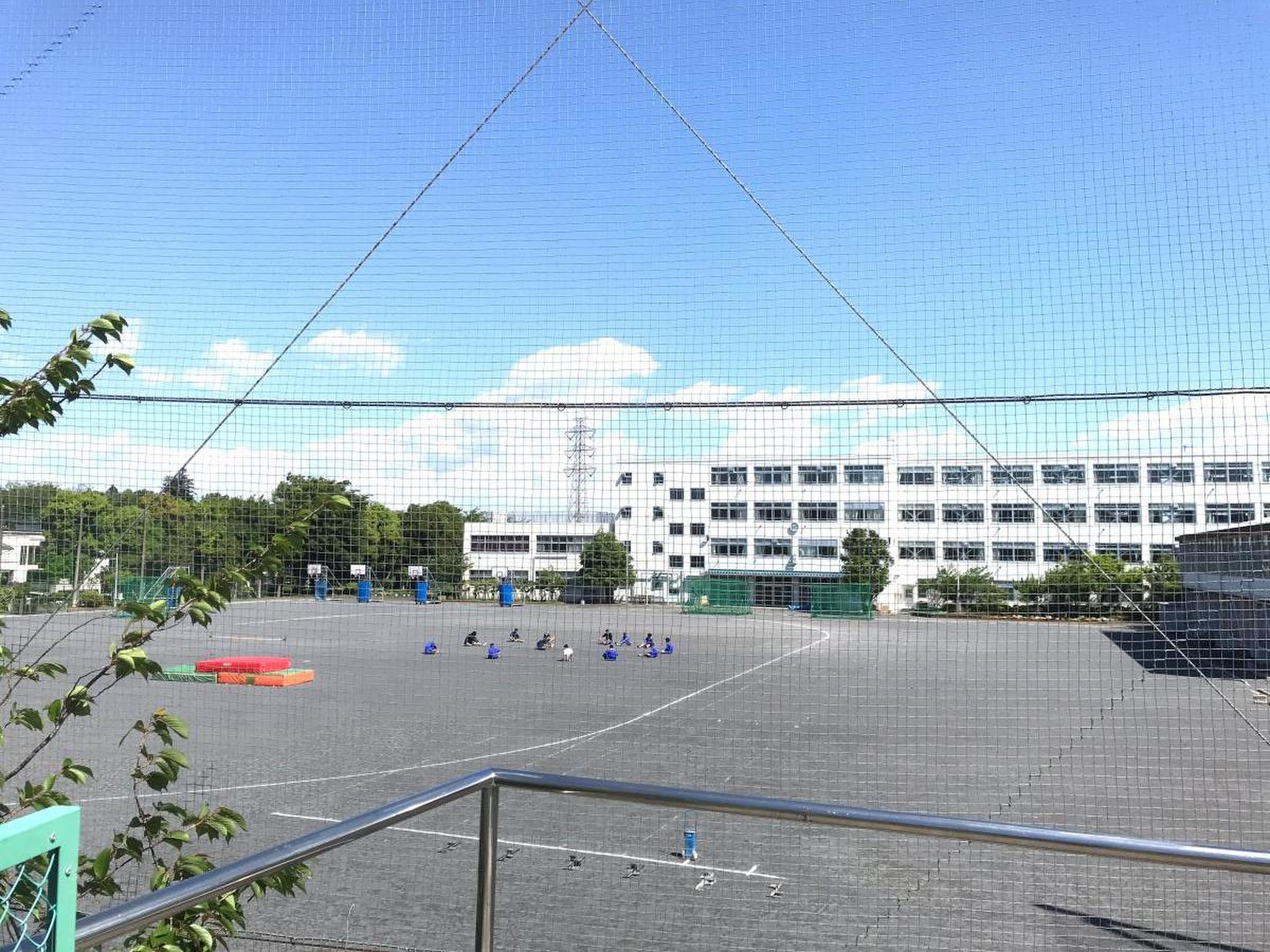 公の場での発言・インタビュー報道記録
