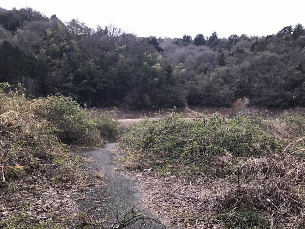 稲倉池