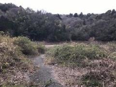 稲倉池