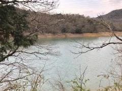 稲倉池