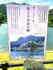 薬王寺水辺公園