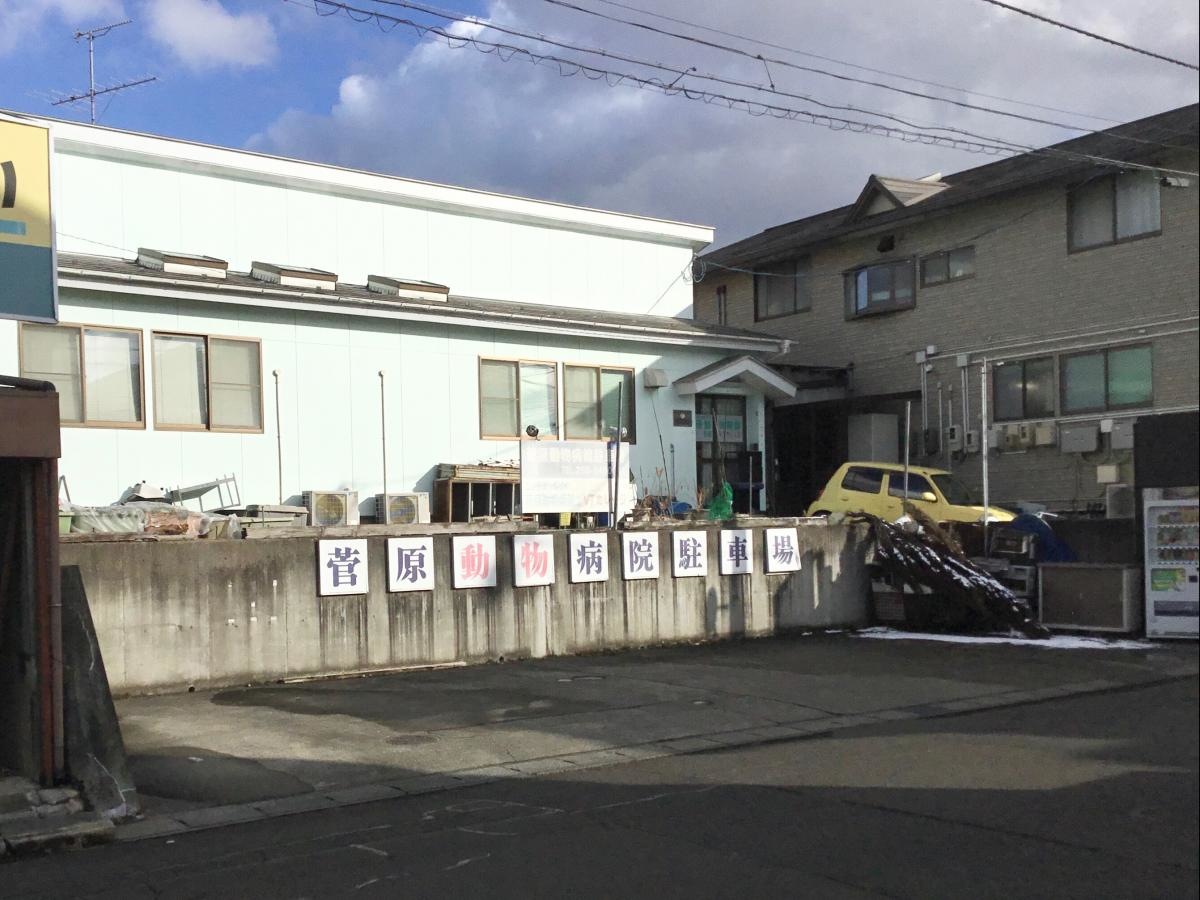 菅原動物病院です。