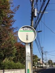 「もみじ山」バス停留所