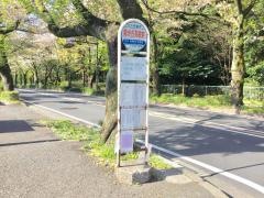「霧が丘高校前」バス停留所