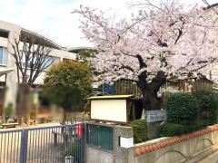 月かげ幼稚園