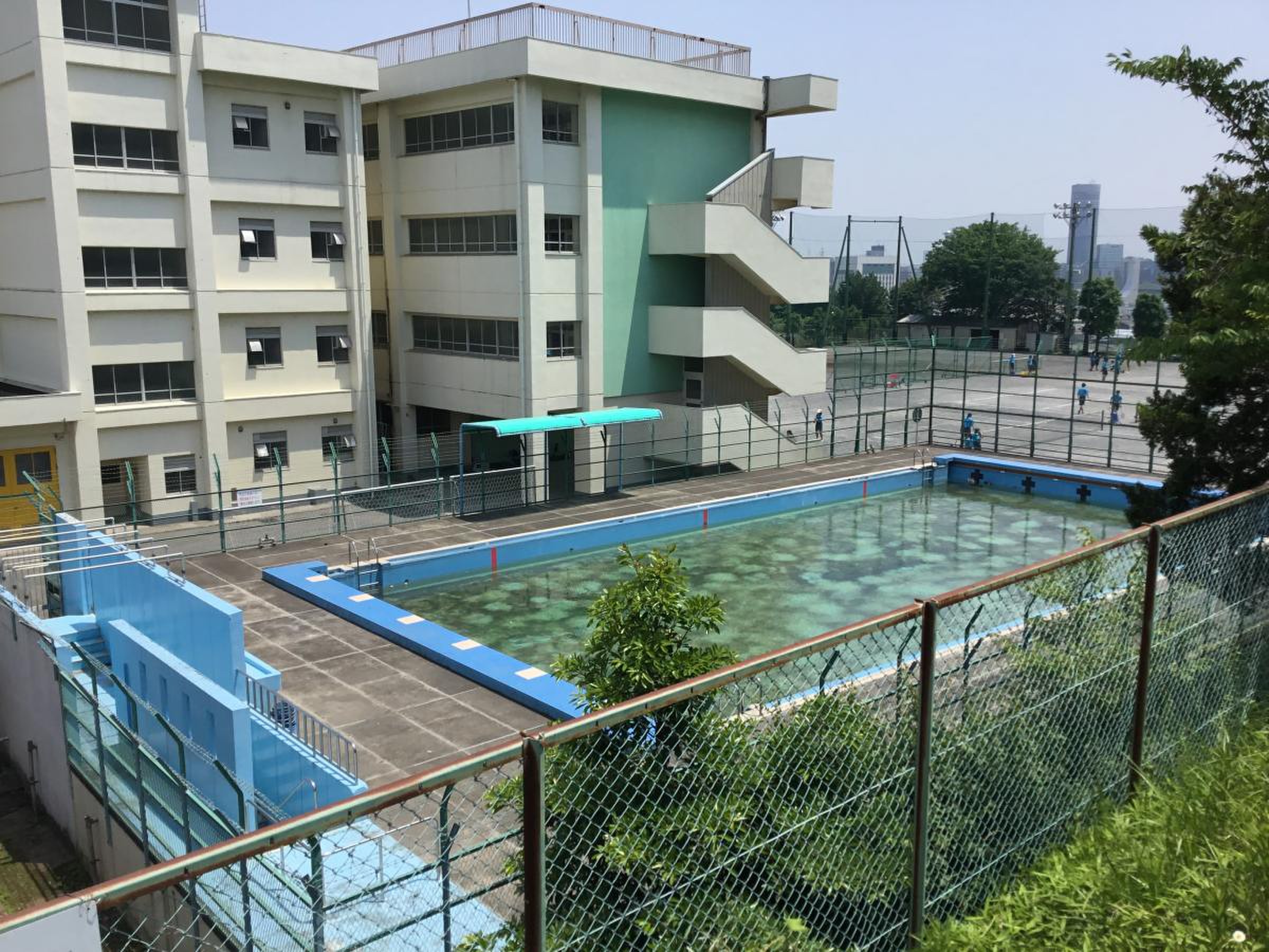 横浜 市立 新羽 中学校