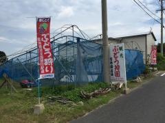 宮原園芸場