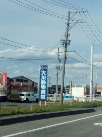 投稿写真2
