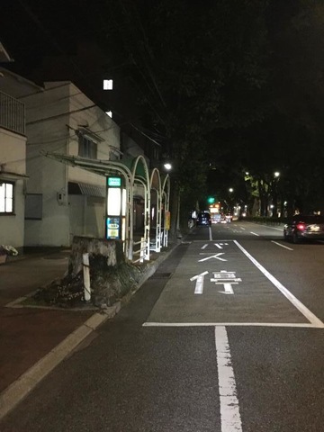 投稿写真2