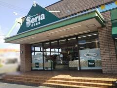 Ｓｅｒｉａ　水戸河和田店