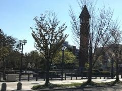 青い森公園