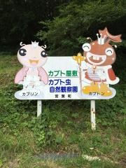 ムシムシランド