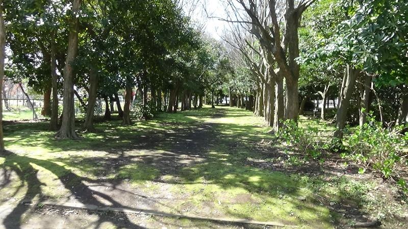 公園内
