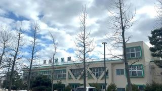 白楊幼稚園