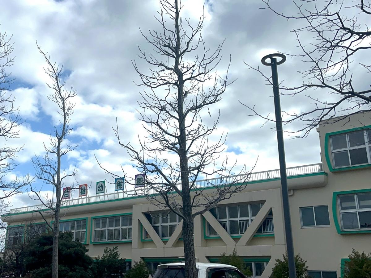 白楊幼稚園の写真です。