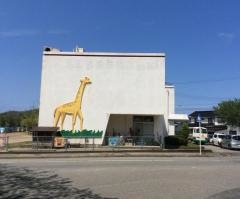鳥取第五幼稚園