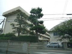 高津小学校