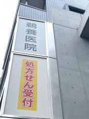 鵜養医院
