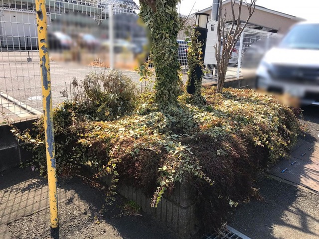 やまと笑楽庵