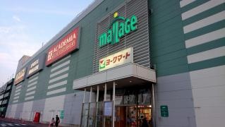 マツモトキヨシ　モラージュ菖蒲店