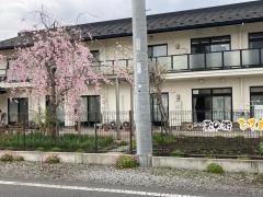 地域密着型特別養護老人ホーム蔵の街ひまわり
