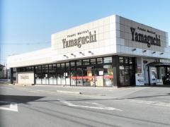 ヤマグチスーパー毛野店