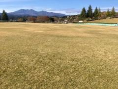 矢板運動公園陸上競技場