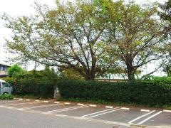 桶川たんぽぽ保育園