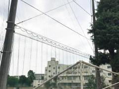 大和市立引地台中学校