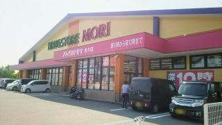 ドラッグストアモリ　佐々店
