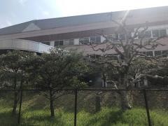 株式会社丸順