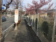 「西田橋」バス停留所