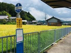 「常福寺下」バス停留所