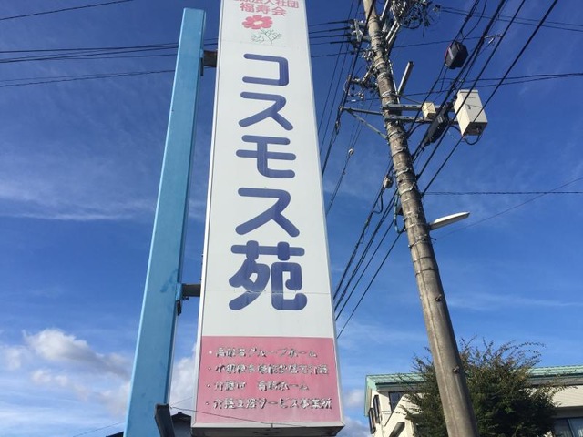 コスモス苑「仲良し」