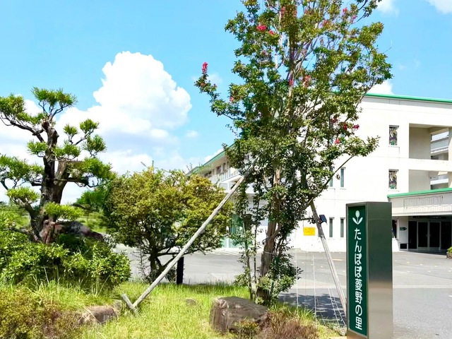 たんぽぽ菱野の里