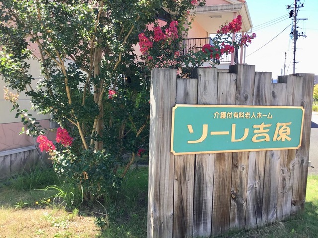 ソーレ吉原