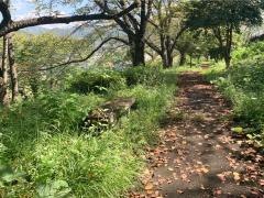 桐陽台緑地