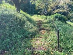 桐陽台緑地
